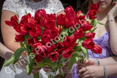 GinnysPhotography-WeddingDaveSarah10