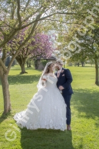 GinnysPhotography-WeddingPhotography275