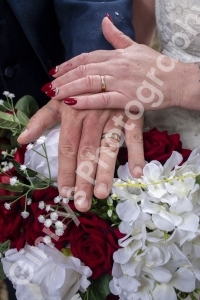 GinnysPhotography-AshbourneHotelWedding236
