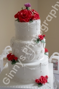 GinnysPhotography-WeddingEmmaStuart239